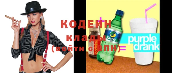 крисы Абаза