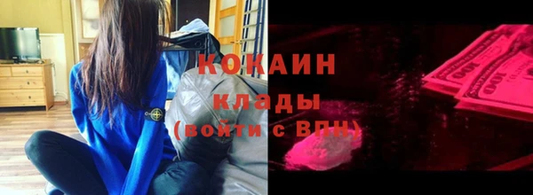 крисы Абаза
