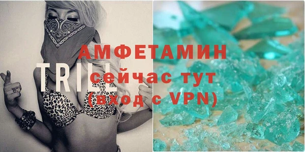 крисы Абаза